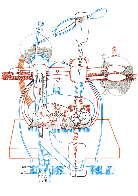 Hannes Kater - drawing from 01/13/2008