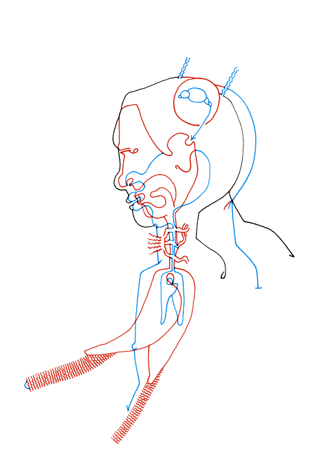 Hannes Kater - drawing from 03/25/2008