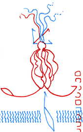 Hannes Kater  Detail einer Zeichnung aus dem Dezember 2025