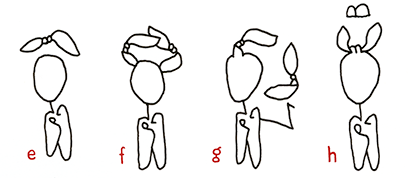 Grammatik-Studien: Hannes Katers Darsteller *15 Protagonist mit *16 Knoten  EInträge e bis h  nicht ganz dicht schwebend, zwei Knoten, Arm mit Knoten, mit großem B