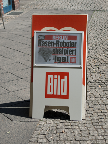 Rasender Roboter skalpiert... (oder so)