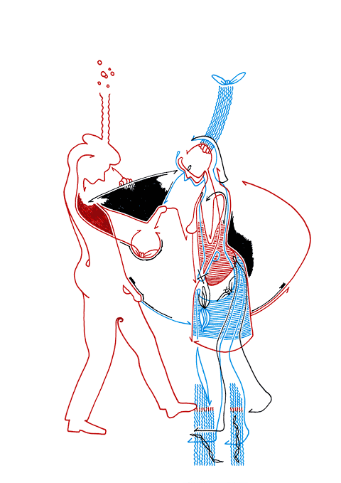 Tageszeichnung f&uuml;r den 16.12.2009