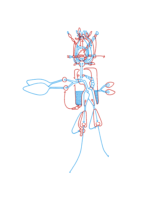 Tageszeichnung f&uuml;r den 26.02.2009