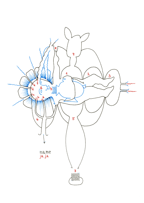 Hannes Kater - drawing from 11/25/2007