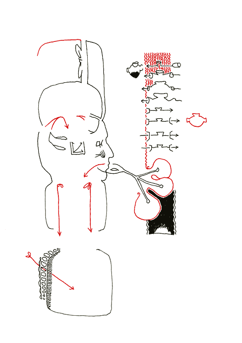 Hannes Kater - Zeichnung f&uuml;r den 19-05-2007
