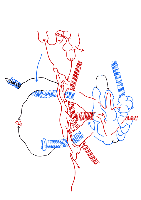 Hannes Kater - Tageszeichnung f&uuml;r den 16-12-2006