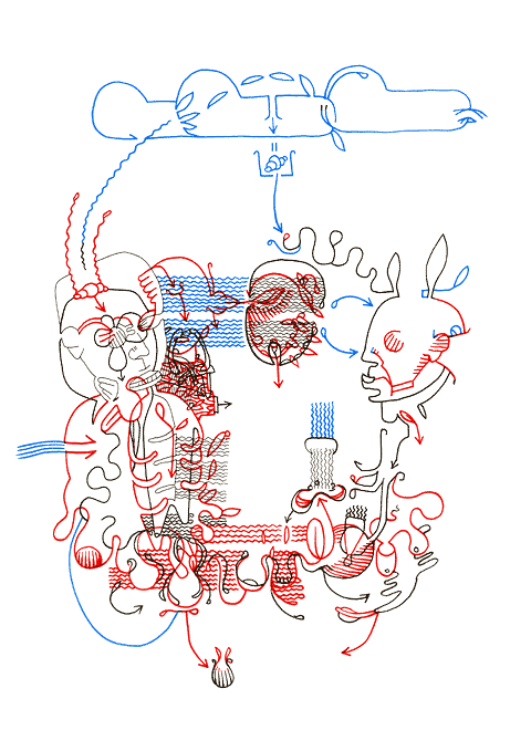 Hannes Kater - drawing from 01/22/2007