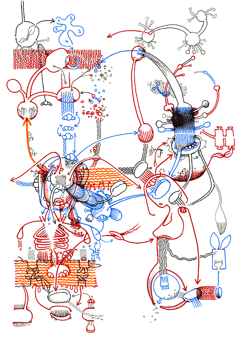 Hannes Kater - Zeichnung f&uuml;r den 16-07-2006