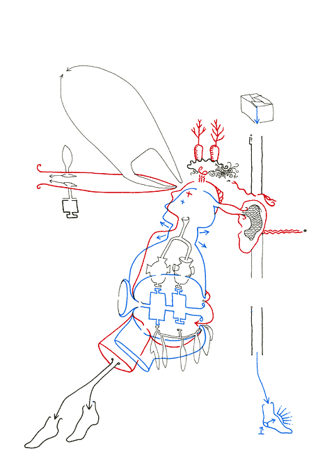 Hannes Kater - Zeichnung f&uuml;r den 27-06-2006