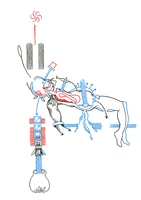 Hannes Kater - drawing from 10/01/2005