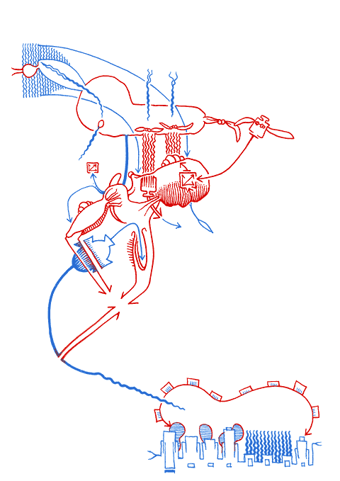 Hannes Kater - drawing from 06/28/2005