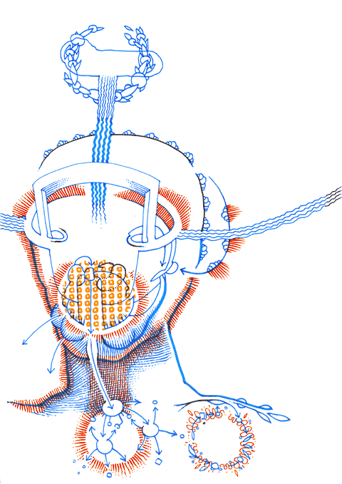 Hannes Kater - drawing from 01/12/2005