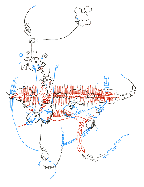 Hannes Kater - drawing from 05/19/2004