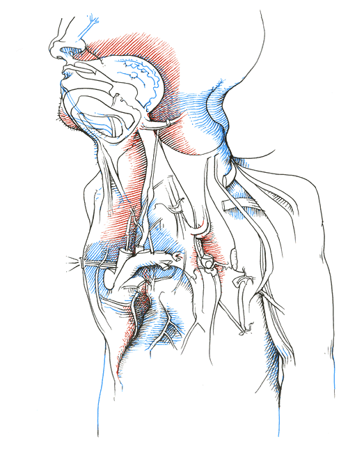 Hannes Kater - drawing from 05/25/2004