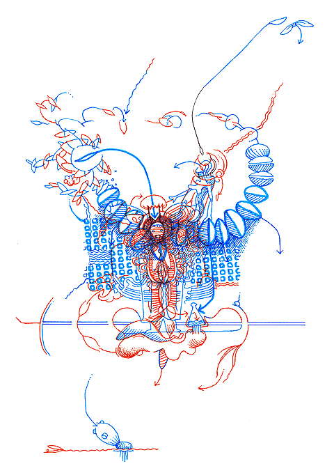 Hannes Kater - drawing from 12/30/2003