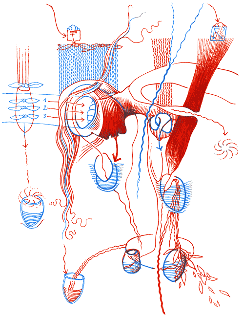 Hannes Kater - drawing from 02/27/2004