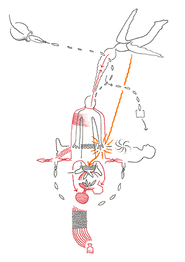 Hannes Kater: Auftragszeichnung 084_2 - 381x539 Pixel