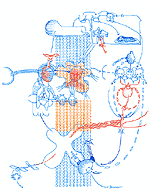 Hannes Kater: Auftragszeichnung Letter Nr. 23_2 - 151x195 Pixel