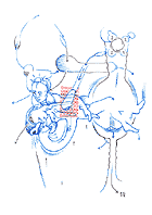 Hannes Kater - drawings A4 -11/2002